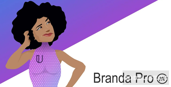 Branda Pro v3.4.9 - WordPress white label branding